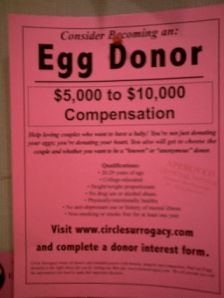 egg donor