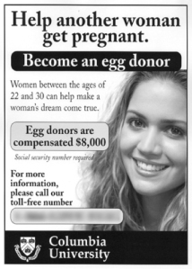 egg donor2